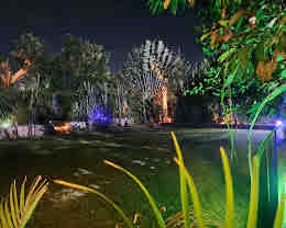 Garden at night