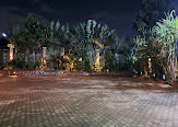 Garden night lights