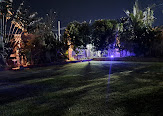 Garden evening