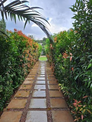 Garden pathway