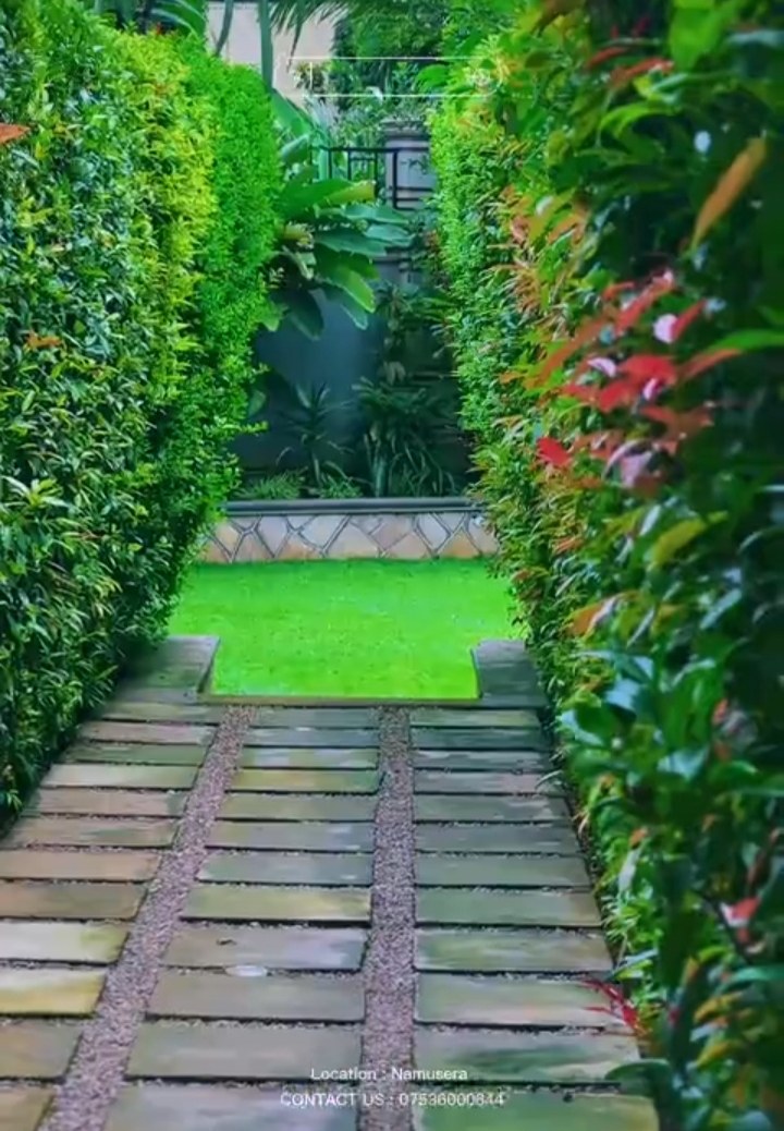 Garden path 2